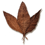 Grabba available to buy online in Toronto, Ontario, Canada with delivery from a dispensary near me