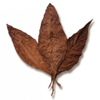 Grabba available to buy online in Toronto, Ontario, Canada with delivery from a dispensary near me