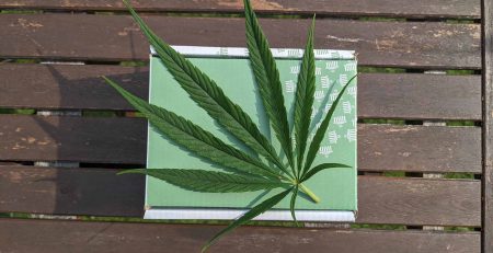 MOMS vs Weed Delivery in 2021 - A marijuana package placed on picnic bench in Toronto