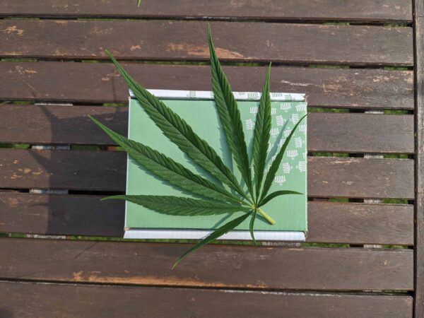 MOMS vs Weed Delivery in 2021 - A marijuana package placed on picnic bench in Toronto