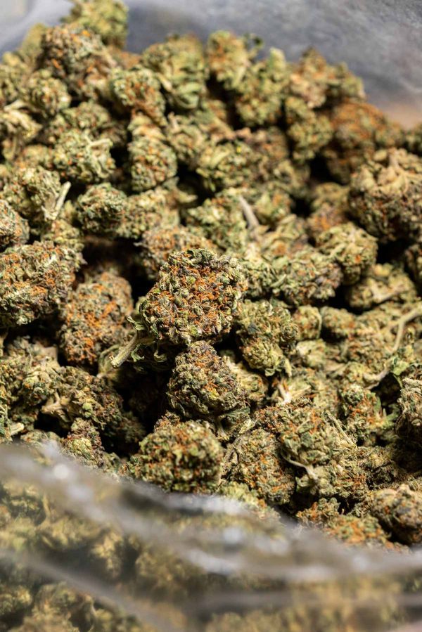 1 pound of premium cannabis strain