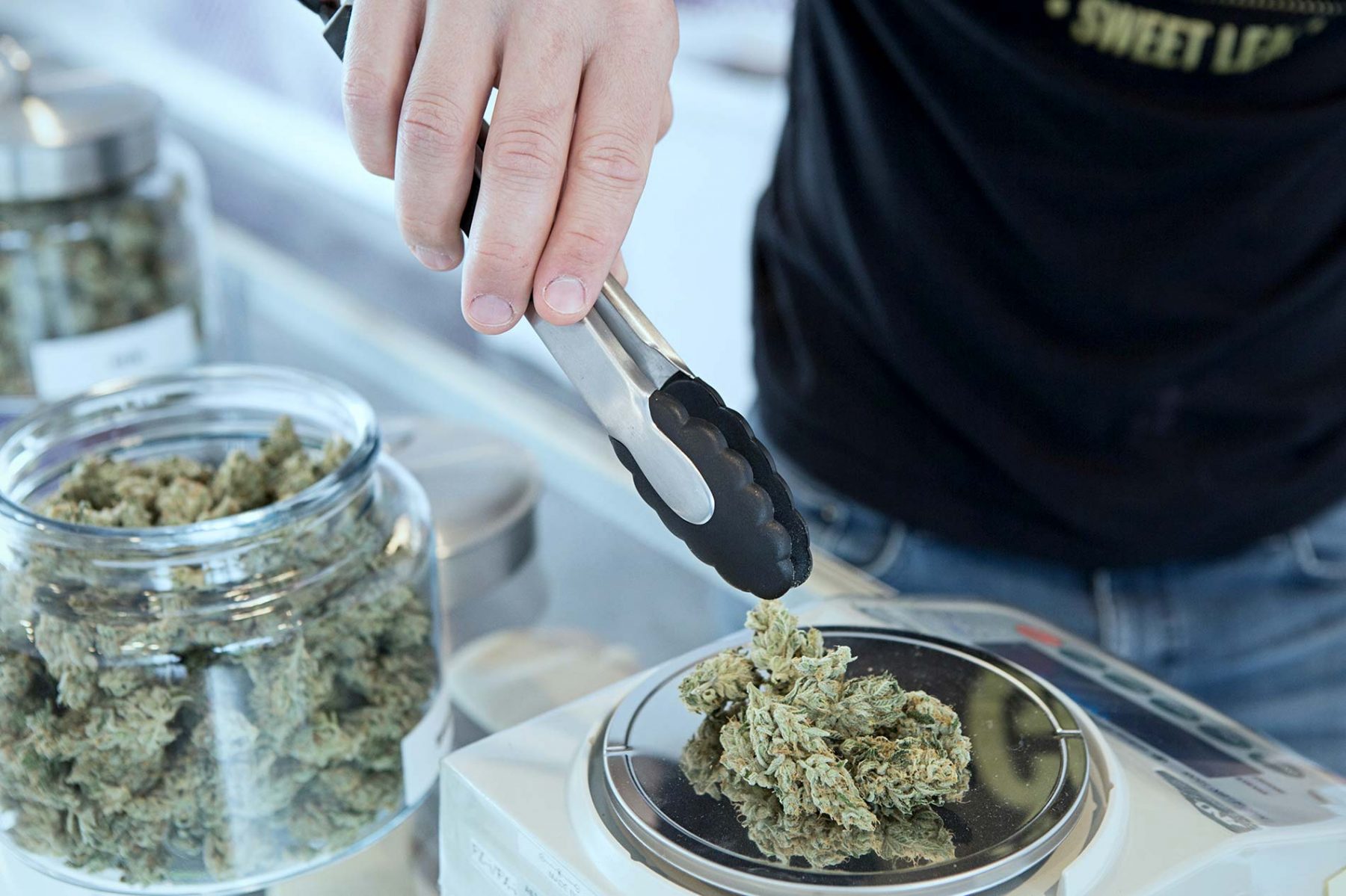 Bud tenders weighing weed at cannabis dispensary